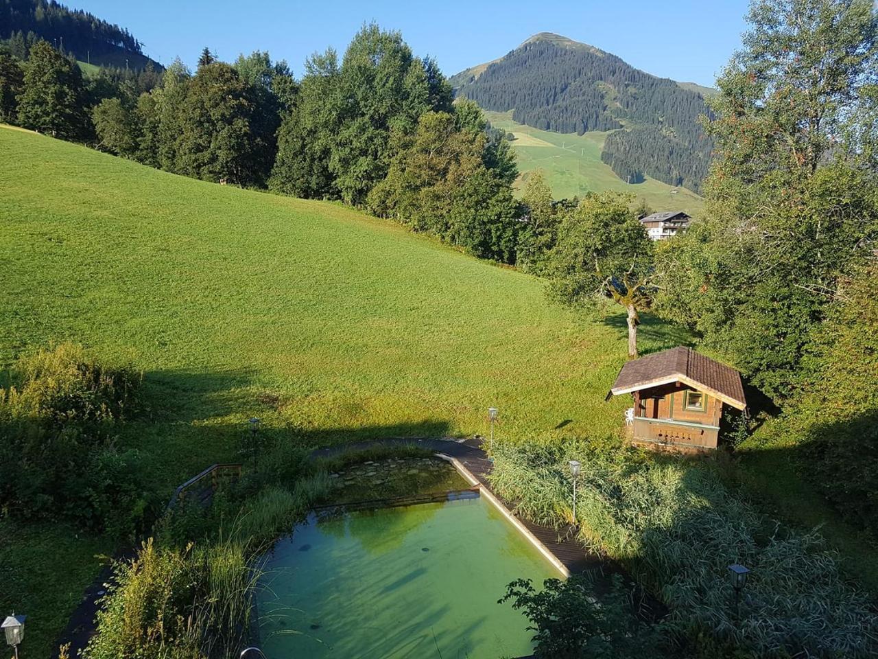 Ski In Ski Out Hotel Unterellmau Saalbach-Hinterglemm Zewnętrze zdjęcie